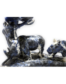 Rhinocéros Sodalite