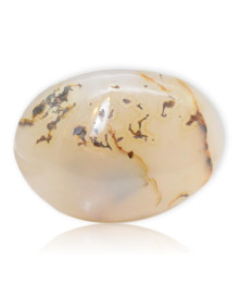 Galet Agate dendritique