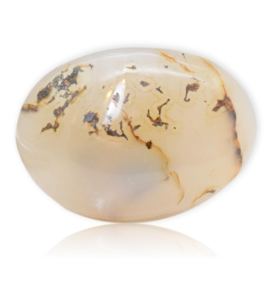 Galet Agate dendritique