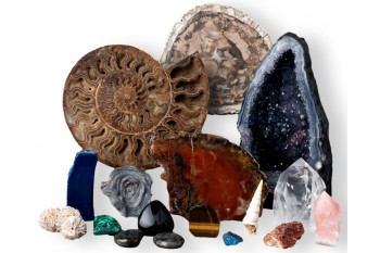 Kit de collection de pierres précieuses naturelles pour enfants, éducation  à la géologie, livre de roche