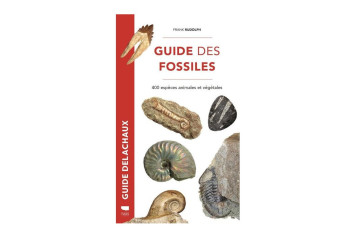 Une sélection de livres et  affiche sur les fossiles